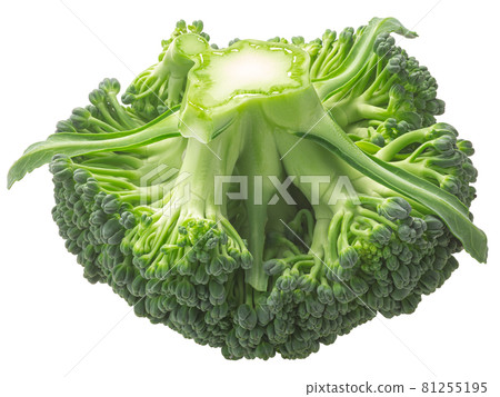 Broccoli flower head (Brassica oleracea var. italica) with leaves, isolated Broccoli flower head (Brassica oleracea var. italica) with leaves, isolated 81255195