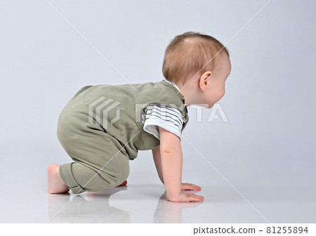 Cute baby girl crawling isolated on white 81255894