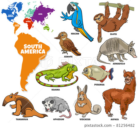 educational illustration of cartoon South American animals set 81256482