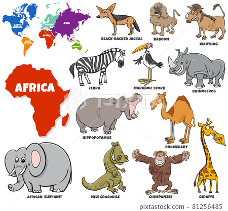 educational illustration of cartoon African animals set educational illustration of cartoon African animals set 81256485