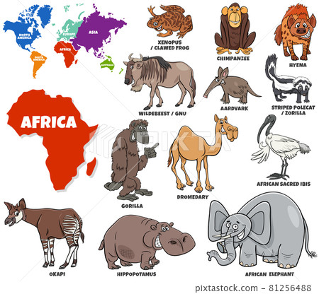 educational illustration of cartoon African animals set 81256488