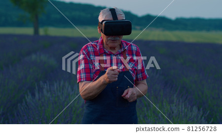 Senior grandfather farmer in virtual reality helmet managing quality in field of lavender flowers Senior grandfather farmer in virtual reality helmet managing quality in field of lavender flowers 81256728