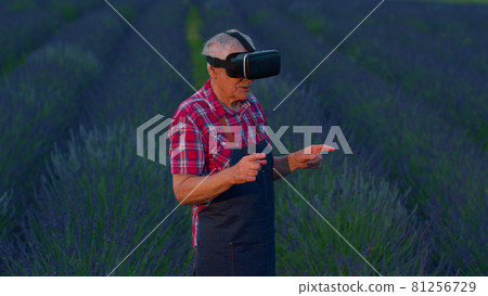 Senior old grandfather farmer in virtual reality helmet in field of lavender flowers for management Senior old grandfather farmer in virtual reality helmet in field of lavender flowers for management 81256729
