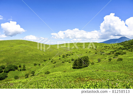 從車山肩附近眺望立科山 81258513