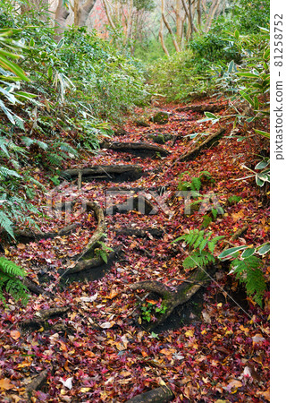 Lion dance hiking course Lion dance hiking course 81258752