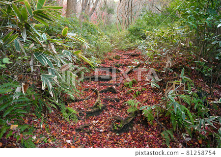 Lion dance hiking course Lion dance hiking course 81258754