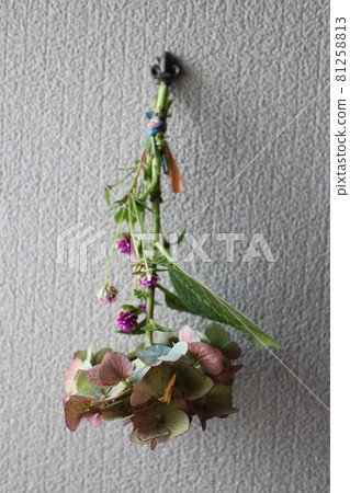 繡球花和莧菜贓物 繡球花和莧菜贓物 81258813