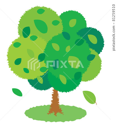 一棵綠樹 一棵綠樹 81259510