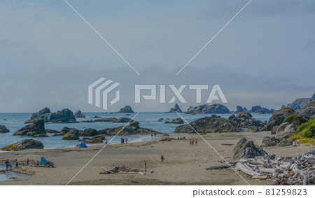 Lone Ranch Beach with a rocky coastline on the Pacific Ocean in Brookings, Curry County, Oregon 81259823