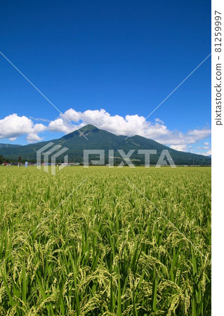 Countryside and Mt. Bandai (Inawashiro Town, Fukushima Prefecture) 81259997