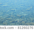 The transparent surface of Lake Shikotsu 81260276