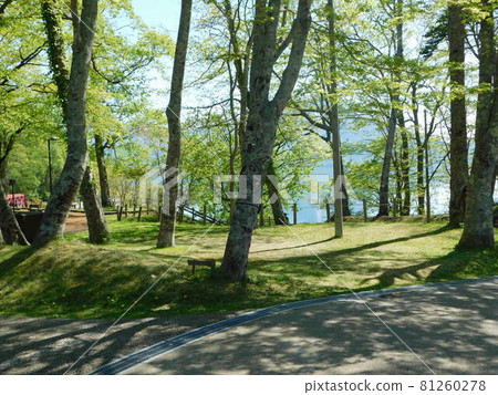 Lake Shikotsu promenade on a sunny day Lake Shikotsu promenade on a sunny day 81260278