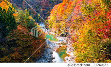 White sand valley (autumn) White sand valley (autumn) 81260846