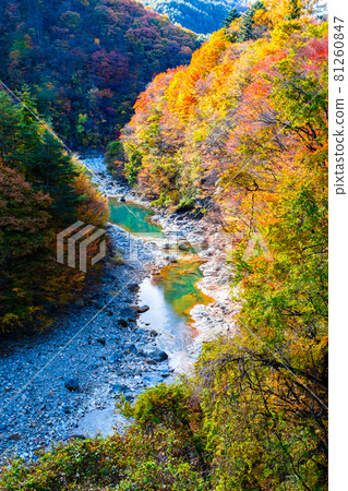 White sand valley (autumn) White sand valley (autumn) 81260847