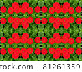 紅色油畫風格百日草花卉圖案 81261359
