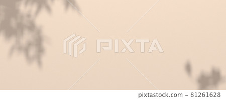Beige background with shadow of plants branches Beige background with shadow of plants branches 81261628