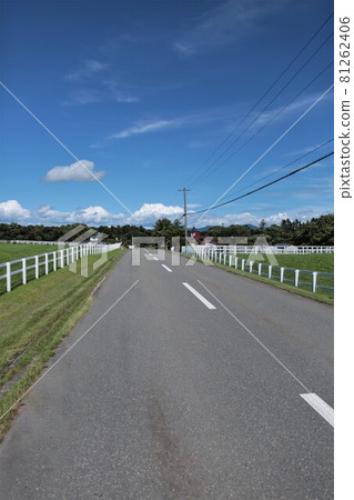 北海道風景“日高牧場道路” 81262406