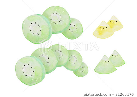 Kiwi  81263176