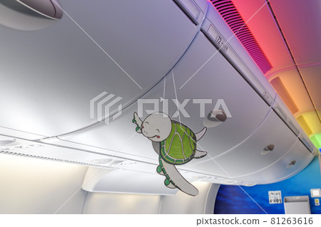 Aircraft in-flight lighting and flying sea turtles Aircraft in-flight lighting and flying sea turtles 81263616