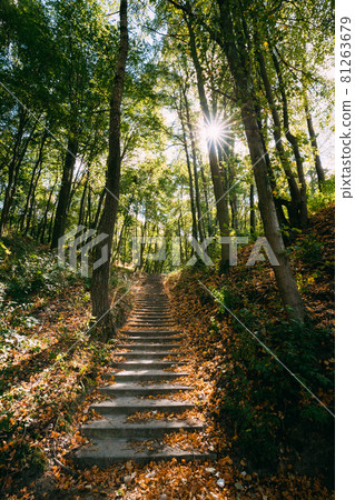 Yurovichi, Belarus. Stairs On Carpet Of Upper Period Of The Paleolithic (26 Thousand Years Ago), Which Occupying Terraced Slope Of Left Bank Of Pripyat River Yurovichi, Belarus. Stairs On Carpet Of Upper Period Of The Paleolithic (26 Thousand Years Ago), Which Occupying Terraced Slope Of Left Bank Of Pripyat River 81263679