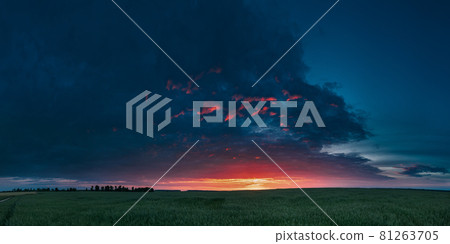 Panoramic Landscape Of Green Young Oat Plantation In Spring Field Under Scenic Summer Colorful Dramatic Sky At Sunset Or Sunrise Dawn. Agricultural Rural Panorama Panoramic Landscape Of Green Young Oat Plantation In Spring Field Under Scenic Summer Colorful Dramatic Sky At Sunset Or Sunrise Dawn. Agricultural Rural Panorama 81263705
