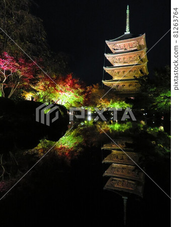 秋天的東寺燈火通明 秋天的東寺燈火通明 81263764