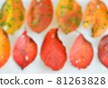 Autumn leaves 81263828