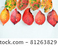 Autumn leaves 81263829