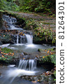 Clear stream 81264301