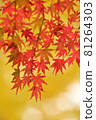 Autumn leaves 81264303