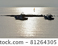 Wakae Island 81264305
