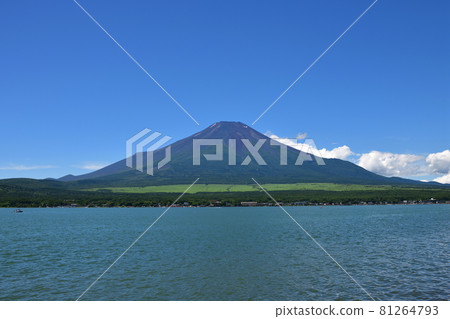 Mt. Fuji in the summer 81264793