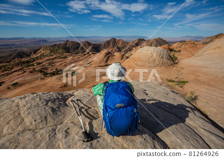 Hike in Utah Hike in Utah 81264926