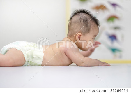 Baby Lifestyle Kids Newborn 81264964