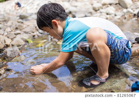 Children looking for creatures in the river 81265067