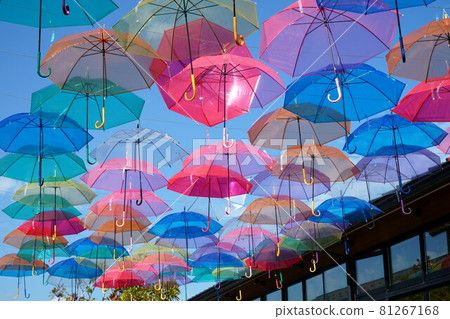 Himi Ichibangai: Vivid umbrella sky that colors the blue sky 81267168