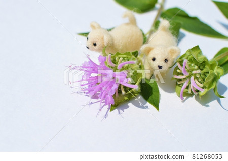 粉紅色 monarda 和羊毛氈小狗 81268053