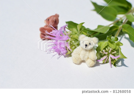 粉色莫納達和泰迪熊 81268058