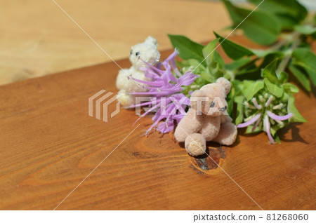 粉色莫納達和泰迪熊 粉色莫納達和泰迪熊 81268060