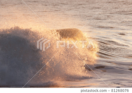 閃亮的波峰 81268076