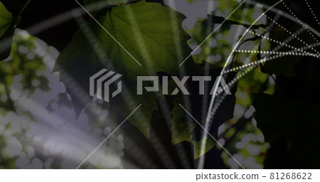 Digital composition of dna structure spinning against sunlight through plants Digital composition of dna structure spinning against sunlight through plants 81268622