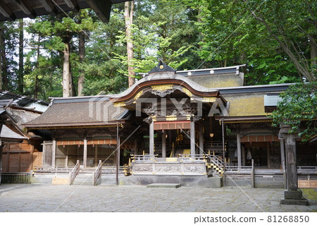 Suwa Taisha is one of the oldest shrines in Japan and is the head office of more than 10,000 Suwa shrines nationwide. 81268850
