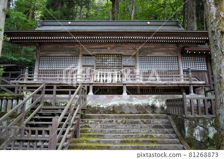Suwa Taisha is one of the oldest shrines in Japan and is the head office of more than 10,000 Suwa shrines nationwide. Suwa Taisha is one of the oldest shrines in Japan and is the head office of more than 10,000 Suwa shrines nationwide. 81268873