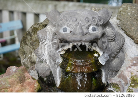 Suwa Taisha is one of the oldest shrines in Japan and is the head office of more than 10,000 Suwa shrines nationwide. 81268886
