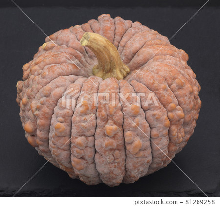 菊花南瓜（日本南瓜） 81269258