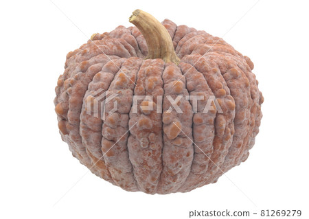 Chrysanthemum pumpkin (Japanese pumpkin) Chrysanthemum pumpkin (Japanese pumpkin) 81269279