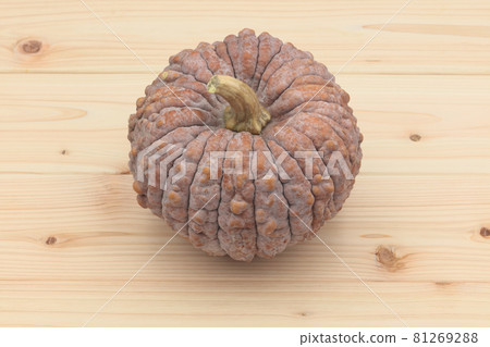 菊花南瓜（日本南瓜） 81269288