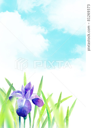 水彩插圖 Ayame 藍天 81269373