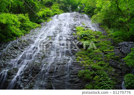 Ryusoga Falls 日本的100個瀑布選擇 福井縣今手郡池田町 Ryusoga Falls 日本的100個瀑布選擇 福井縣今手郡池田町 81270776