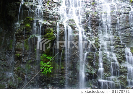 Ryusoga Falls 日本的100個瀑布選擇 福井縣今手郡池田町 Ryusoga Falls 日本的100個瀑布選擇 福井縣今手郡池田町 81270781